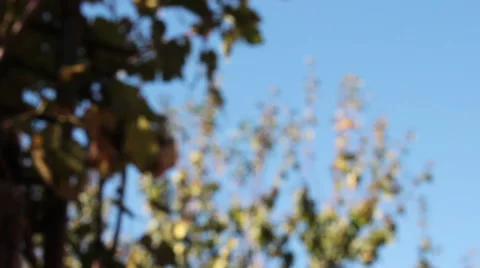 Background Blur Outdoors Stock Footage 54922199