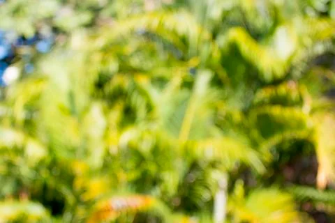 Background blur Stock Photos