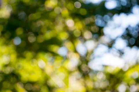 Background blur Stock Photos