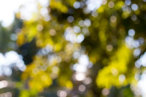 Background blur Stock Photos