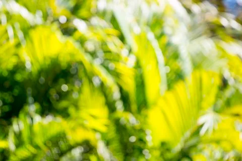 Background blur Stock Photos