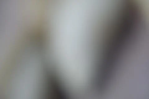 Background Blur 库存照片