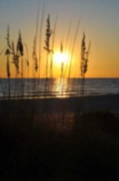 Background Blur of Sunset Stock Photos