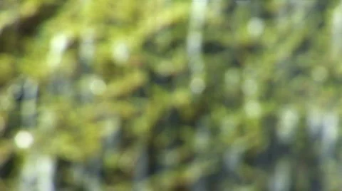 Background blur. Waterfall ''Silver jet'' Video stock 525383
