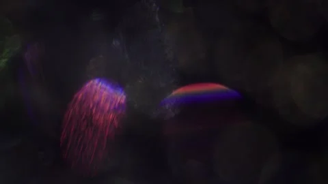 Background of blurred bokeh and beautiful shiny lights on a black background 스톡 동영상 318664193