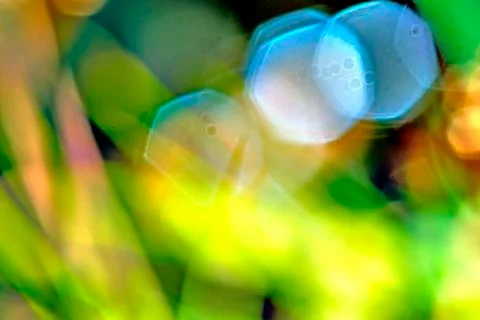 Background of blurred colors of a meadow Stock Illustration