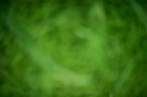 Background of blurred grass Stock Photos