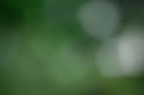 Background is blurred Stock Photos