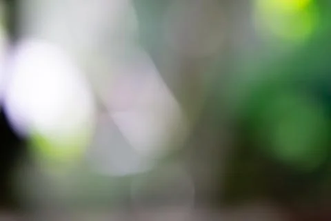 Background is blurred Stock Photos