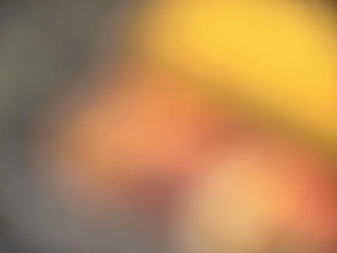 Background is blurred Stock Photos