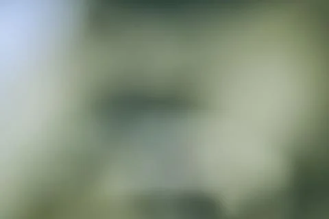 Background is blurred Stock Photos