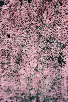Background blurred texture of concrete Stock Photos