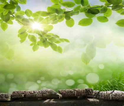 Background bokeh Stock Photos