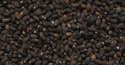 Background of borago seeds. Stock Footage 277028623