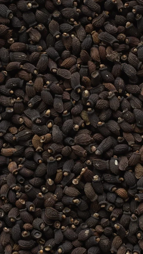 Background of borago seeds. Vertical video. Stock Footage 276965656