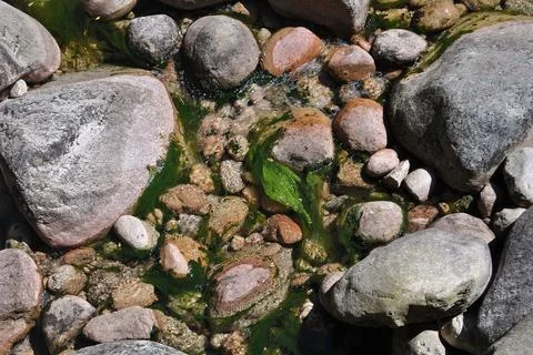 Background bottom of a small mountain water stream river Stock Photos