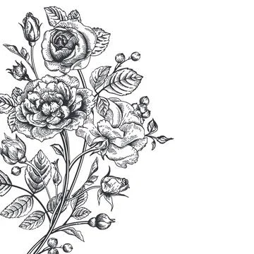 Background with a bouquet of roses. Illustrazione stock