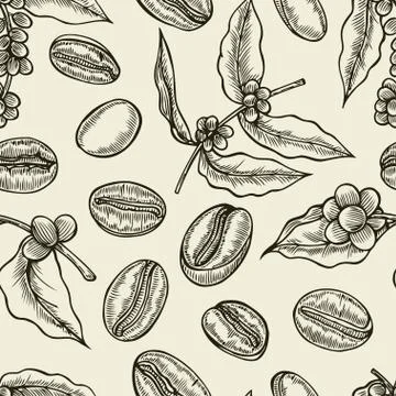 Background with branch of coffee Stock Illustration