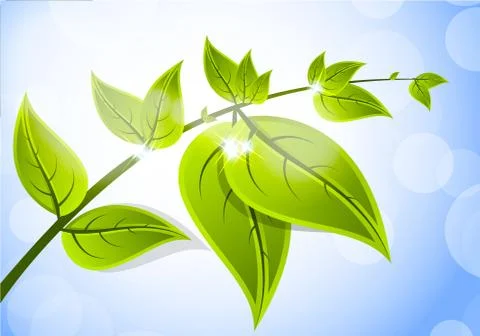 Background with branch Stock Illustration