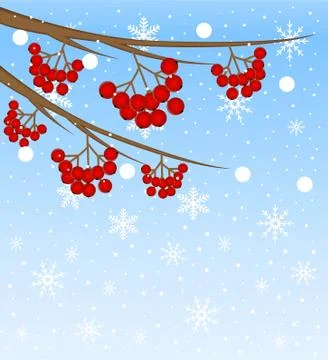 Background with the branches of berry of wild ash Stock Illustration