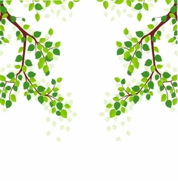 Background of branches with foliage Stock Illustration