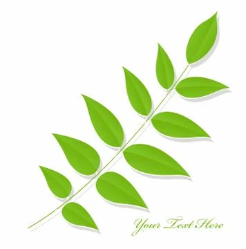 Background of branches with foliage Stock Illustration