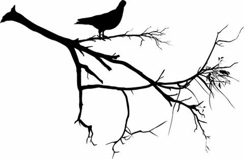 Background of branches with foliage Stock Illustration