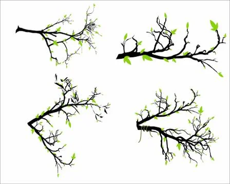 Background of branches with foliage Stock Illustration