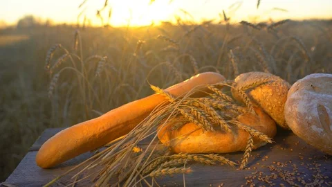 Background of bread, flour, wheat, grains in rustic setting in a wheat field at Stock Footage 97133082
