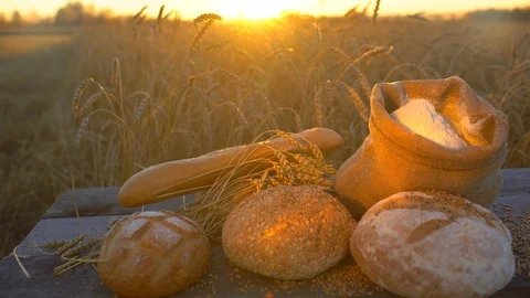 Background of bread, flour, wheat, grains in rustic setting in a wheat field at Stock Footage 97133221