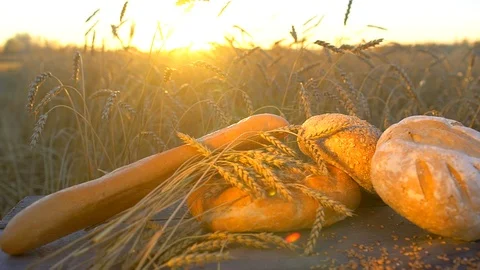 Background of bread, flour, wheat, grains in rustic setting in a wheat field at Stock Footage 97133596