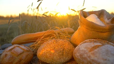 Background of bread, flour, wheat, grains in rustic setting in a wheat field at Stock Footage 97133794