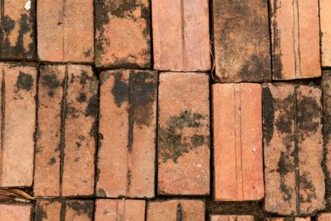 Background of brick floor texture. Stock Photos
