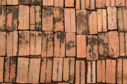 Background of brick floor texture. Stock Photos