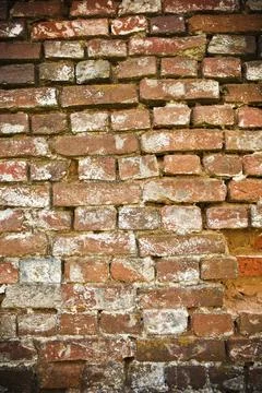 Background of the brick structure Stock Photos