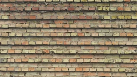 Background brick wall Stock Footage 120044283