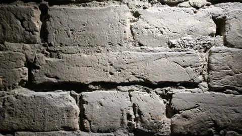 Background of the brick wall is highlighted Stock Footage 102969469