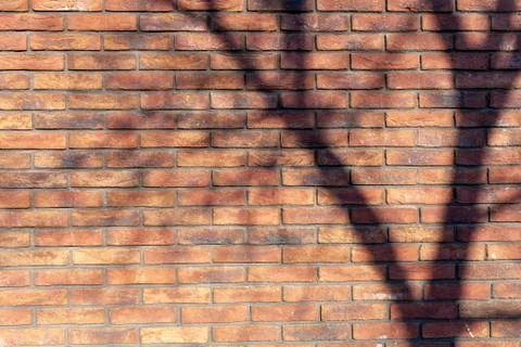 Background of a brick wall texture, 50 years old Stock Photos