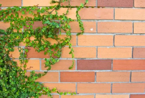 Background of brick wall texture Stock Photos