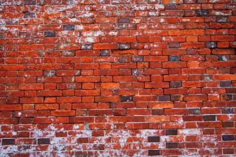 Background of brick wall texture Stock Photos