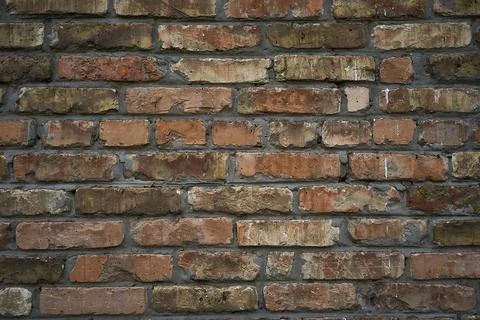 Background of brick wall texture. Stock Photos