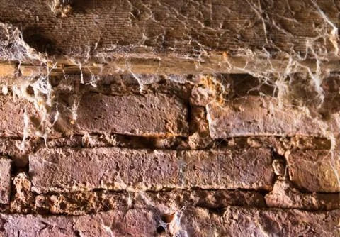 Background with bricks and cobwebs wall texture Foto stock