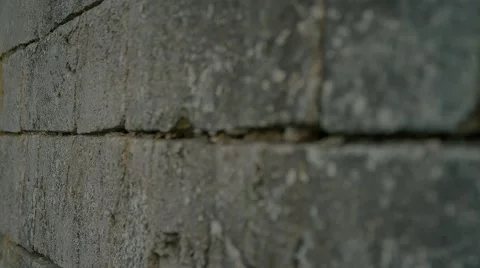 Background, brickwork, blocks of limestone Stock Footage 55805590