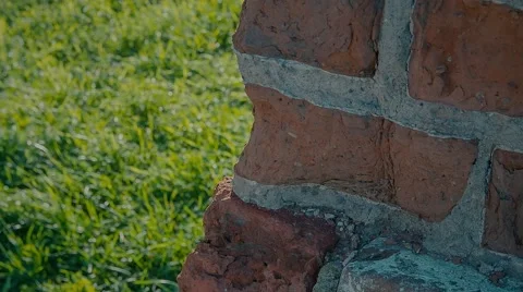 Background, brickwork, wall 스톡 동영상 55806139