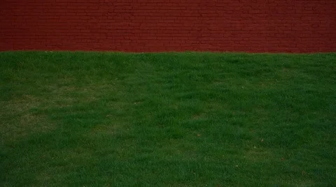 Background, brickwork, wall, green grass, Passage camera bottom to top Stock Footage 55867134