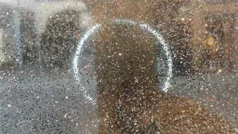 Background of bright glitter in motion Video stock 100461011