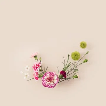Background from bright spring flowers in full bloom. Stock-Fotos