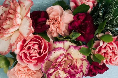 Background from bright spring flowers in full bloom. Foto stock