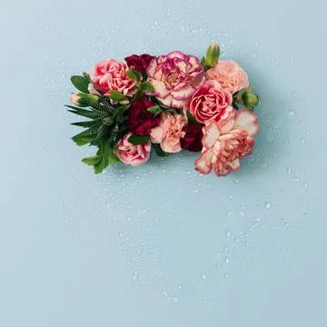 Background from bright spring flowers in full bloom. Stock-Fotos