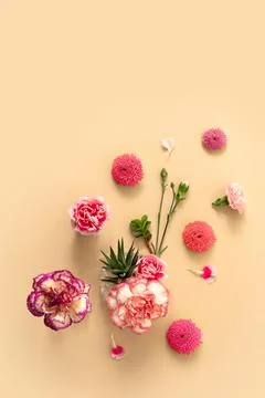 Background from bright spring flowers in full bloom. Foto stock